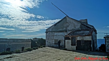 _DSC5716