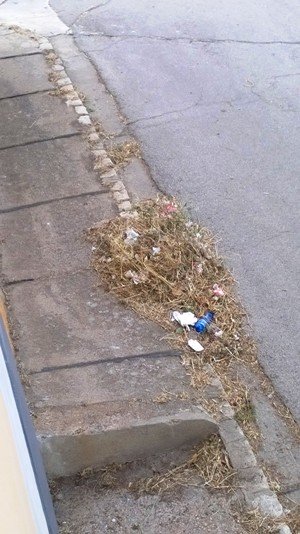 erbacce in via Corsica1