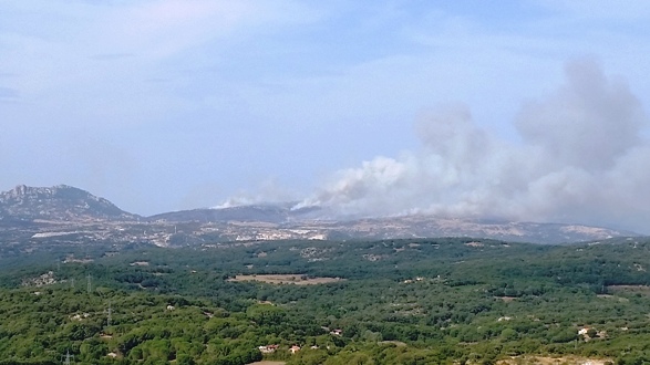 foto galluranews