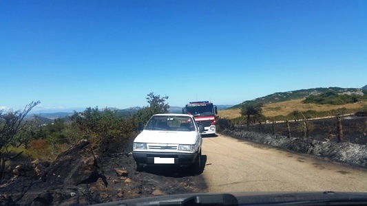 uno dei mezzi di soccorso della Forestale che scende per spostarsi sul fronte del fuoco (verso Oschiri)