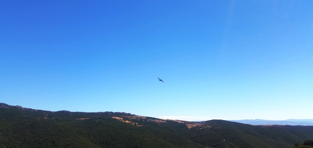 foto galluranews