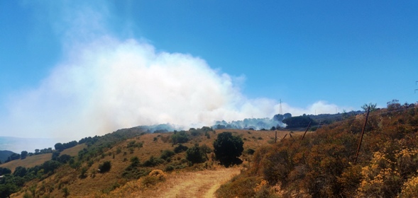 fornt del fuoco che si sposta verso Oschiri/Tula - foto galluranews