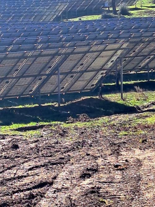 Fotovoltaico a Tempio