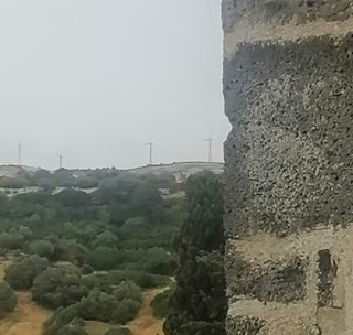 Pale su Saccargia