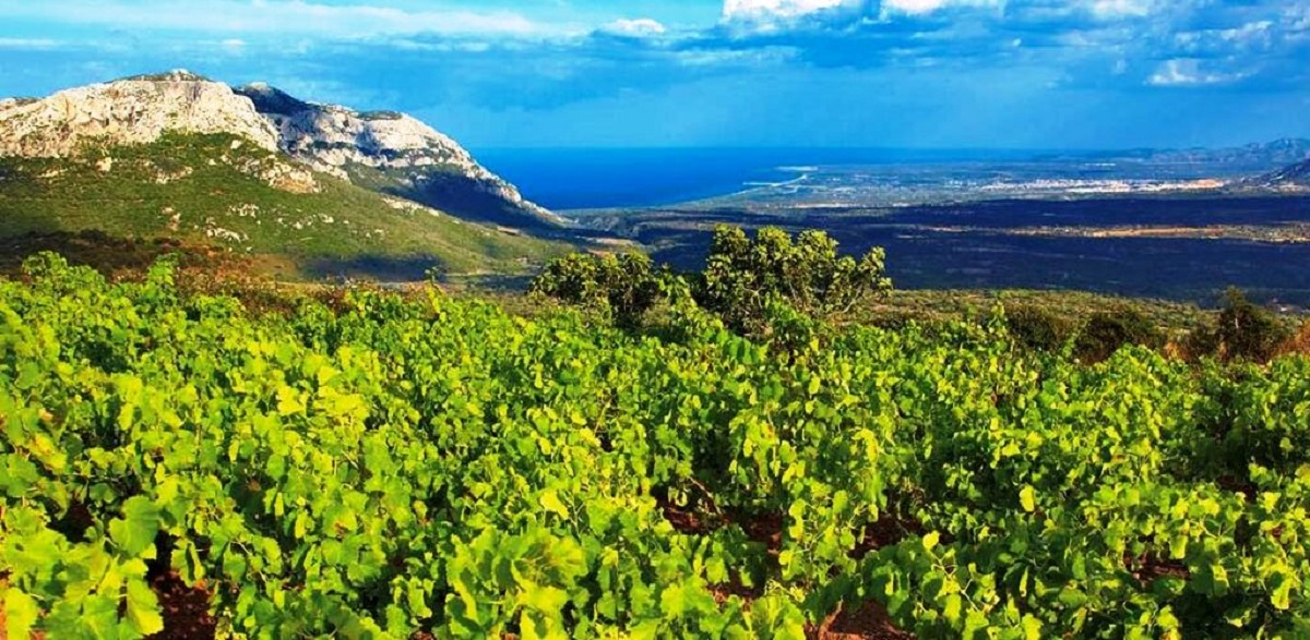 agricoltura in sardegna