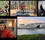 Francesco Capo viaggio tra le battaglie