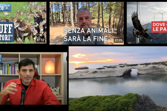 Francesco Capo viaggio tra le battaglie