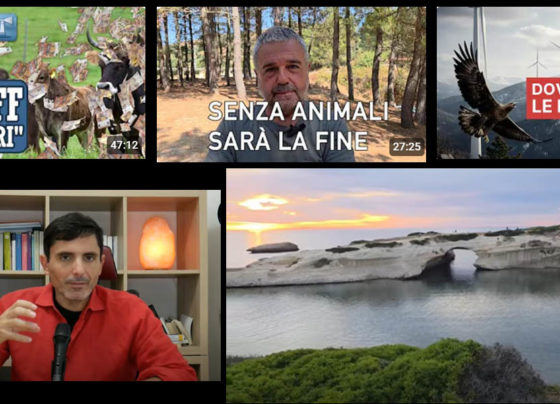 Francesco Capo viaggio tra le battaglie