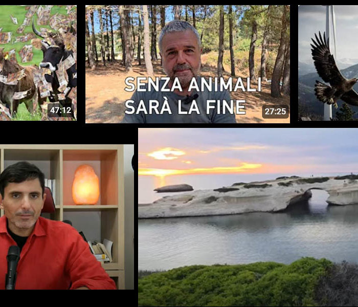 Francesco Capo viaggio tra le battaglie