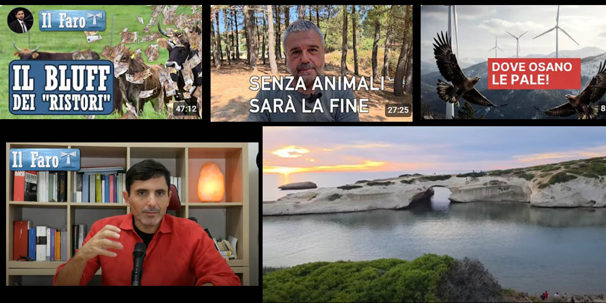 Francesco Capo viaggio tra le battaglie