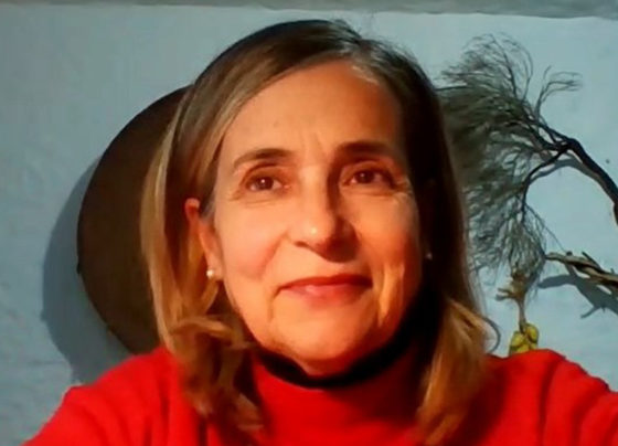 Lucia Chessa: legge antidemocratica