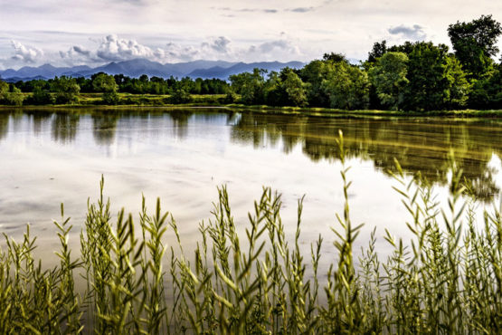 risaia zona baraggia