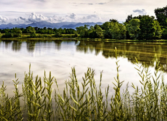 risaia zona baraggia