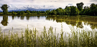 risaia zona baraggia