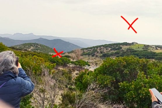 L'azienda di Mirco Pes