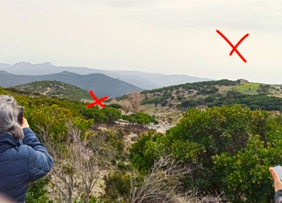 L'azienda di Mirco Pes