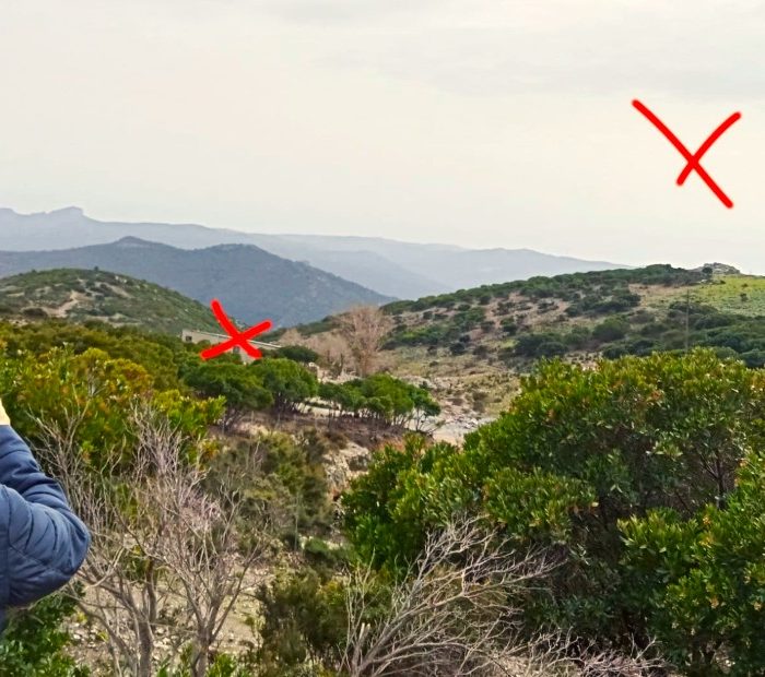 L'azienda di Mirco Pes