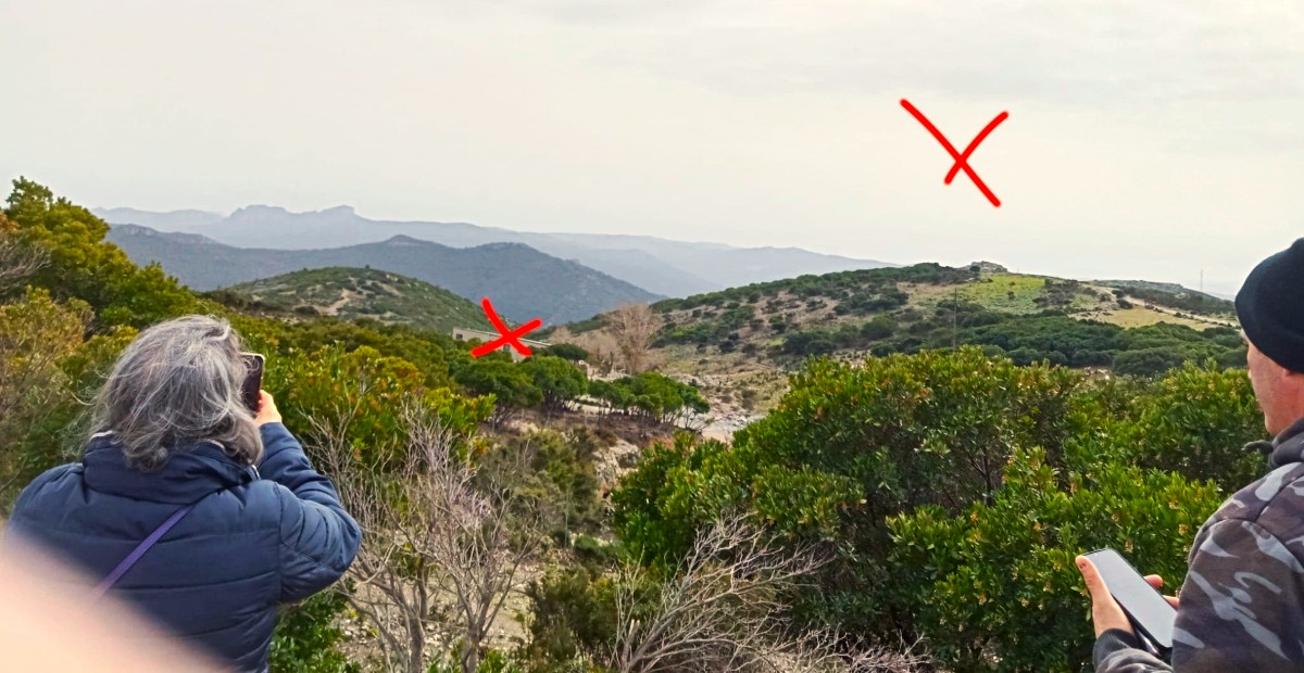 L'azienda di Mirco Pes