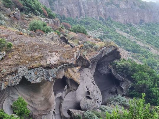 Monte Unturzu, dove l'eolico farà strage di grifoni