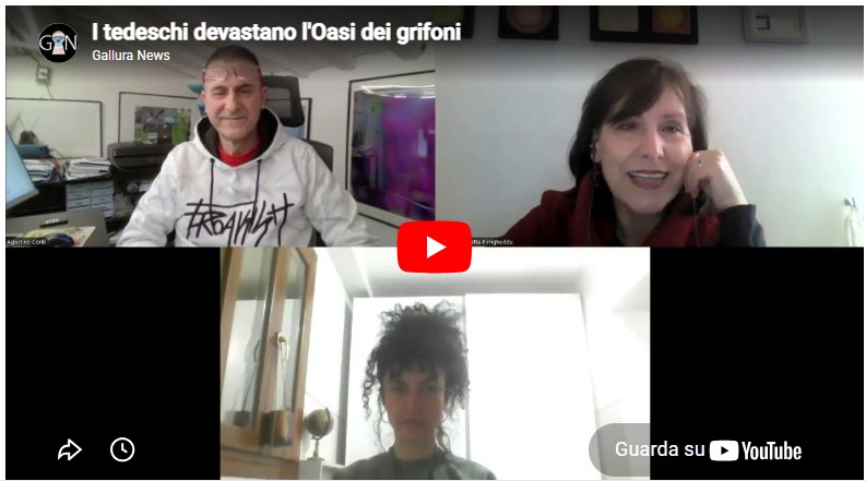 L'oasi dei grifoni è già devastata. Qui le immagini