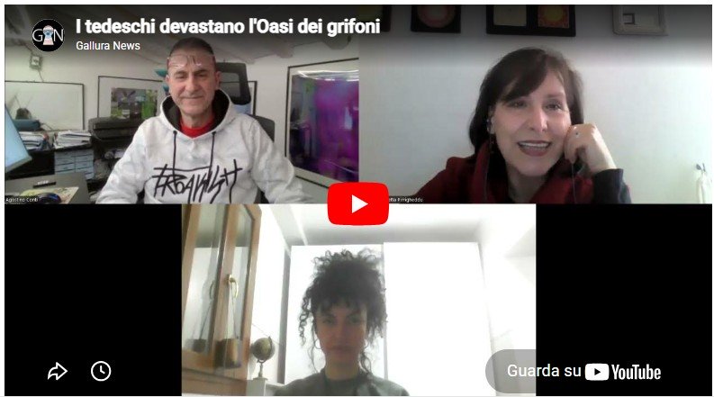 Gli esperti del Gallura parlano dell'oasi dei grifoni, a rischio per l'eolico